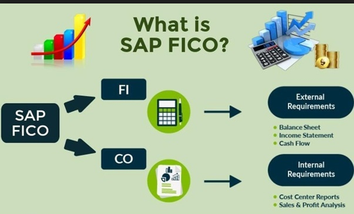 SAP FI (Finance)